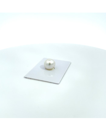 12mm+ gem  grade South Sea pearl, Australia