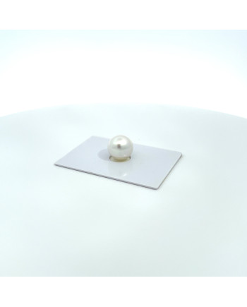 12mm+ gem  grade South Sea pearl, Australia