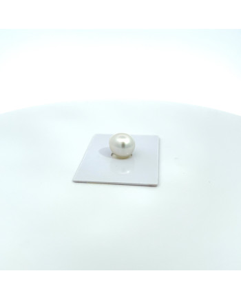 12mm+ gem  grade South Sea pearl, Australia