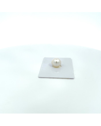 9mm+ fine  grade South Sea pearl, Australia