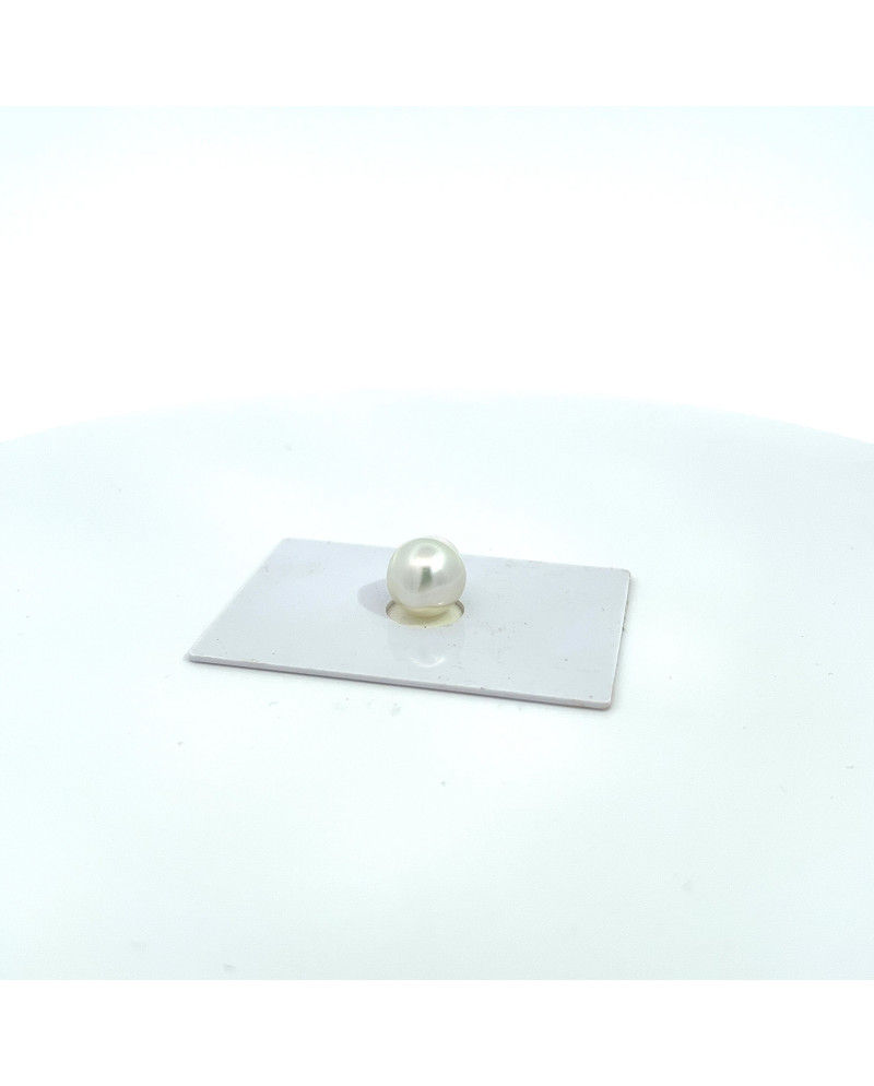 9mm+ gem  grade South Sea pearl, Australia