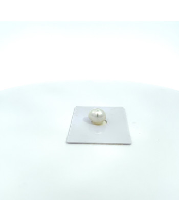 9mm+ gem  grade South Sea pearl, Australia