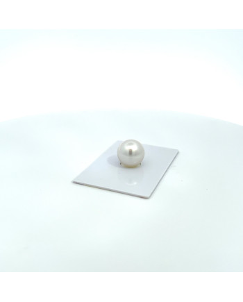 12mm+ gem  grade South Sea pearl, Australia