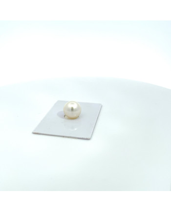 12mm+ fine  grade South Sea pearl, Australia
