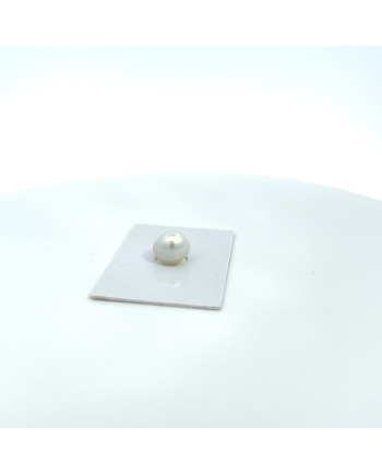 9mm+ gem  grade South Sea pearl, Australia