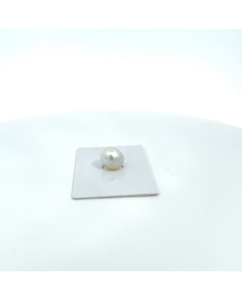 9mm+ gem  grade South Sea pearl, Australia