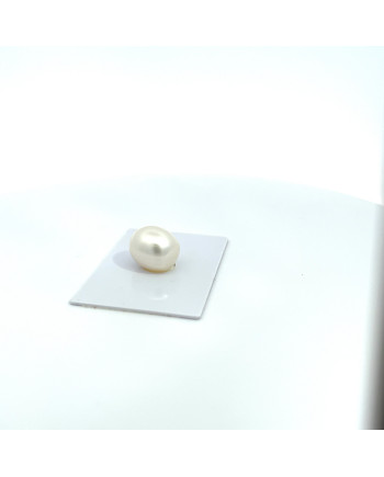 15mm+ fine  grade South Sea pearl, Australia