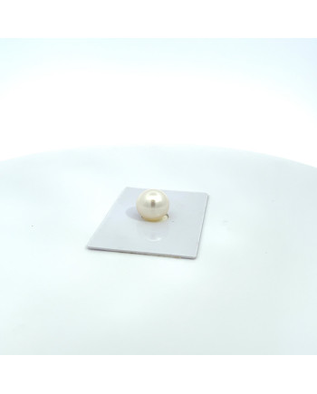 12mm+ gem  grade South Sea pearl, Australia