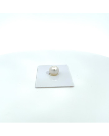 9mm+ fine  grade South Sea pearl, Australia