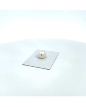 12mm+ gem  grade South Sea pearl, Australia
