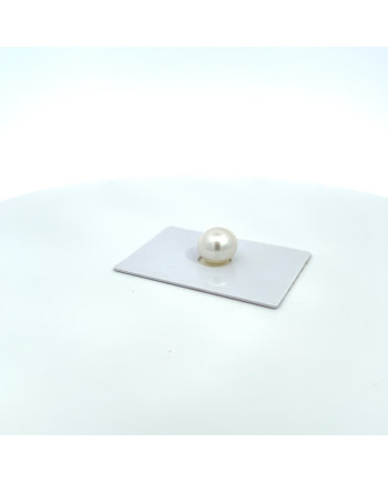 12mm+ gem  grade South Sea pearl, Australia