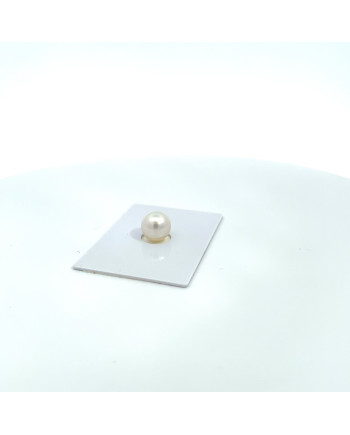 9mm+ jewel  grade South Sea pearl, Australia