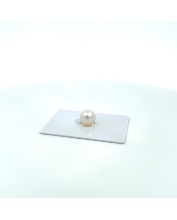 9mm+ jewel  grade South Sea pearl, Australia