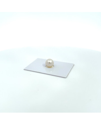 9mm+ jewel  grade South Sea pearl, Australia