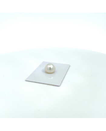 12mm+ jewel  grade South Sea pearl, Australia