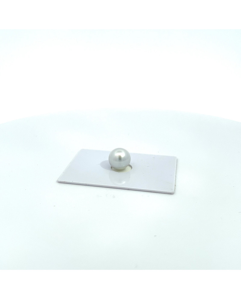 9mm+ gem  grade South Sea pearl, Australia