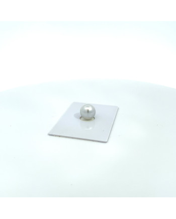 9mm+ gem  grade South Sea pearl, Australia