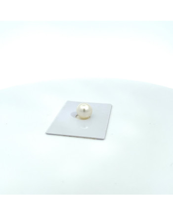 9mm+ gem  grade South Sea pearl, Australia