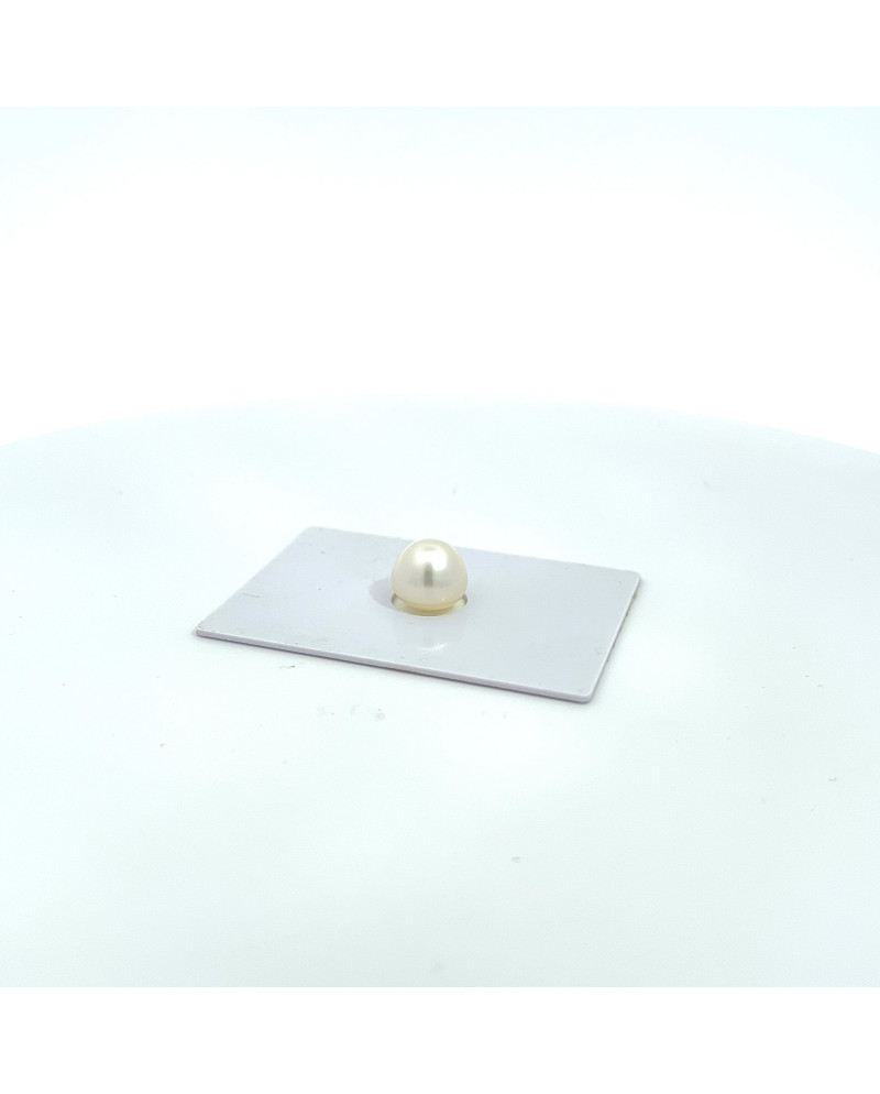 9mm+ gem  grade South Sea pearl, Australia