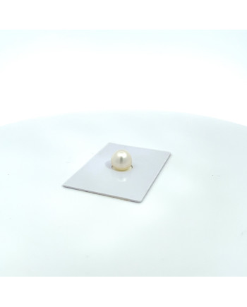 9mm+ gem  grade South Sea pearl, Australia