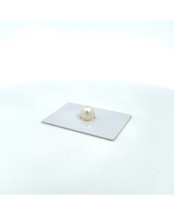 9mm+ gem  grade South Sea pearl, Australia