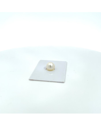 9mm+ gem  grade South Sea pearl, Australia