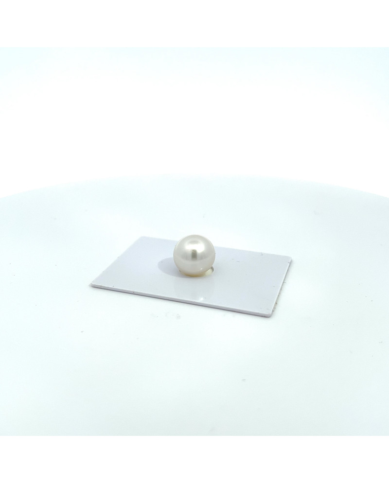 12mm+ gem  grade South Sea pearl, Australia