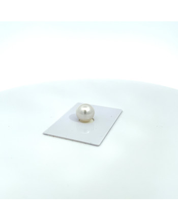 12mm+ gem  grade South Sea pearl, Australia