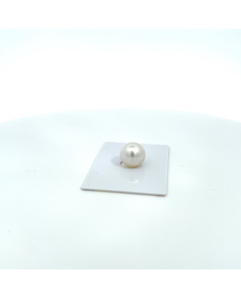 12mm+ gem  grade South Sea pearl, Australia