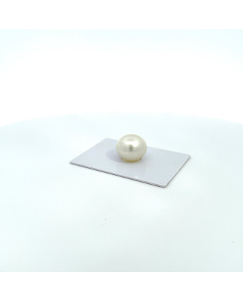 15mm+ jewel  grade South Sea pearl, Australia