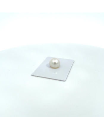 12mm+ jewel  grade South Sea pearl, Australia