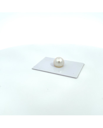 12mm+ jewel  grade South Sea pearl, Australia