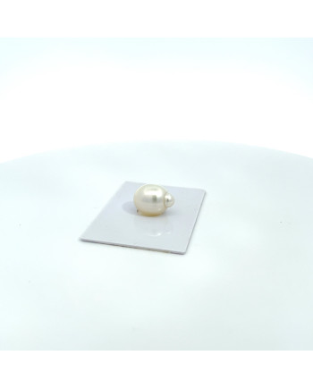 15mm+ gem  grade South Sea pearl, Australia