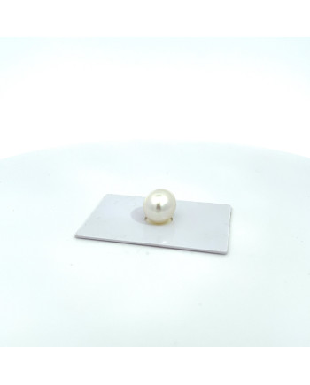 15mm+ gem  grade South Sea pearl, Australia