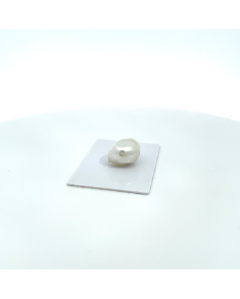 15mm+ gem  grade South Sea pearl, Australia