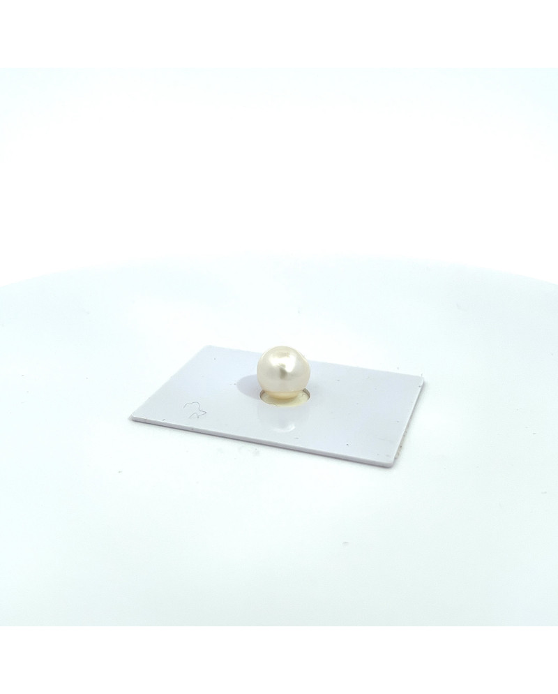 9mm+ gem  grade South Sea pearl, Australia