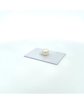 9mm+ gem  grade South Sea pearl, Australia