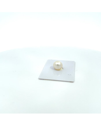 9mm+ gem  grade South Sea pearl, Australia