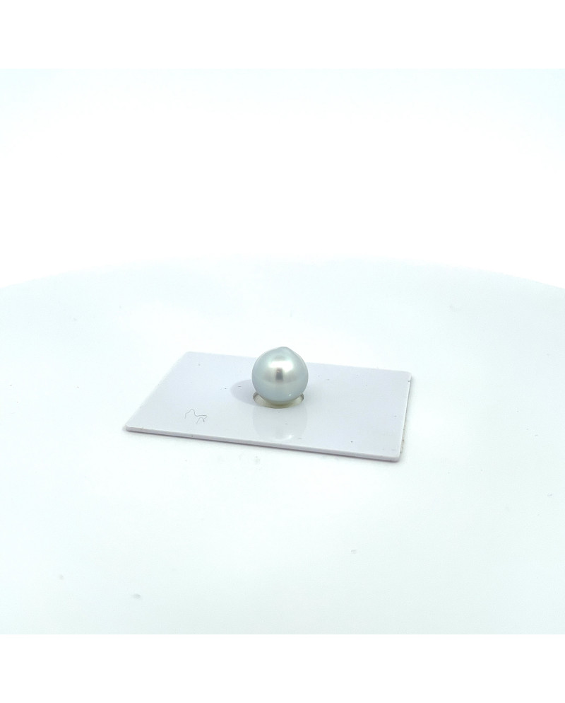 9mm+ gem  grade South Sea pearl, Australia
