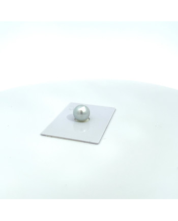 9mm+ gem  grade South Sea pearl, Australia