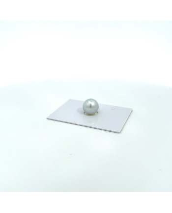 9mm+ gem  grade South Sea pearl, Australia