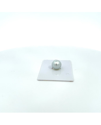 9mm+ gem  grade South Sea pearl, Australia