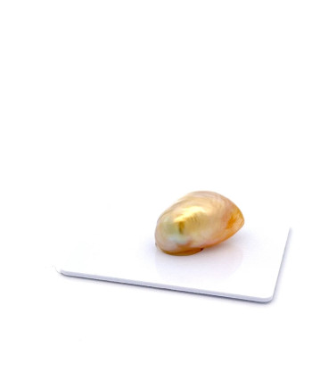 9mm+ gem  grade South Sea pearl, Australia