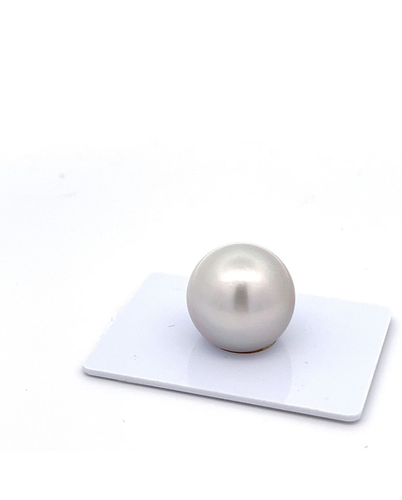 15mm+ fine  grade Tahitian Black pearl, French Polynesia  