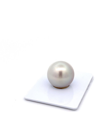 15mm+ fine  grade Tahitian Black pearl, French Polynesia  