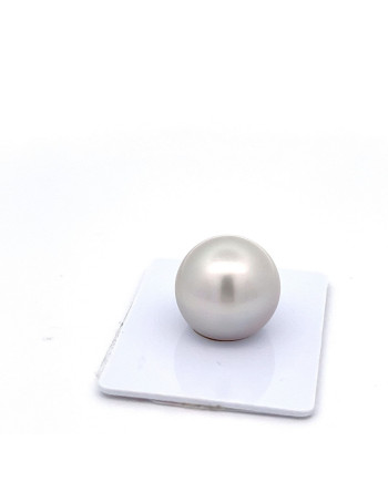 15mm+ fine  grade Tahitian Black pearl, French Polynesia  