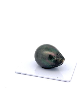 17mm+ fine  grade Tahitian Black pearl, French Polynesia  