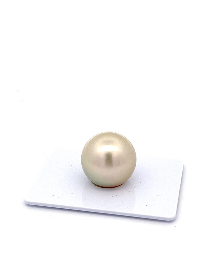 15mm+ fine  grade Tahitian Black pearl, French Polynesia  