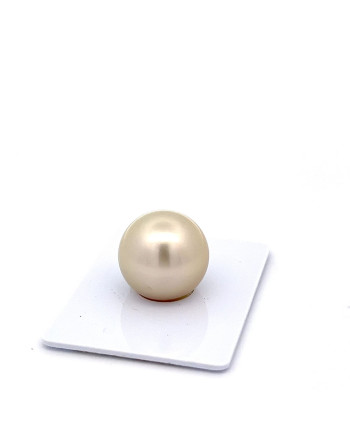 15mm+ fine  grade Tahitian Black pearl, French Polynesia  