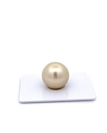 15mm+ fine  grade Tahitian Black pearl, French Polynesia  